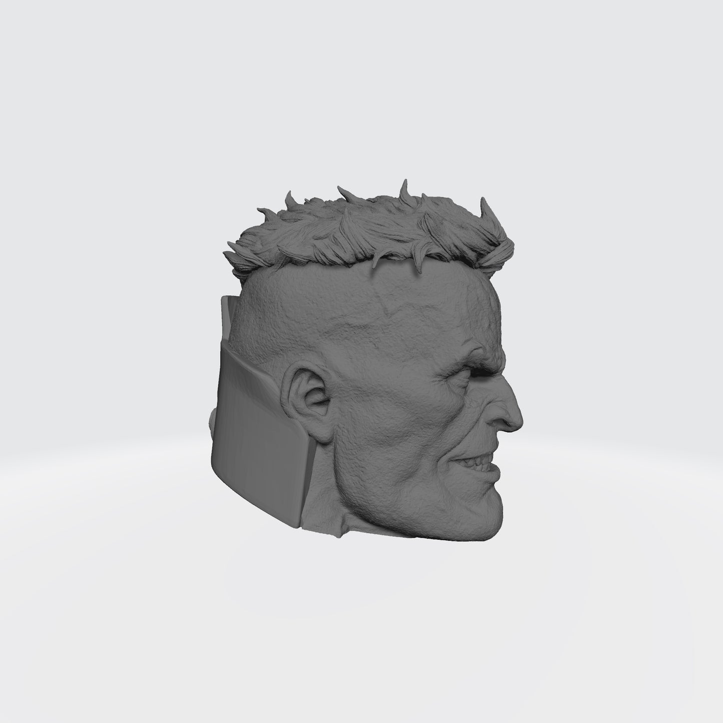 Battle Brother Veteran Custom Head Sculpt for McFarlane Toys Space Marine Action Figures