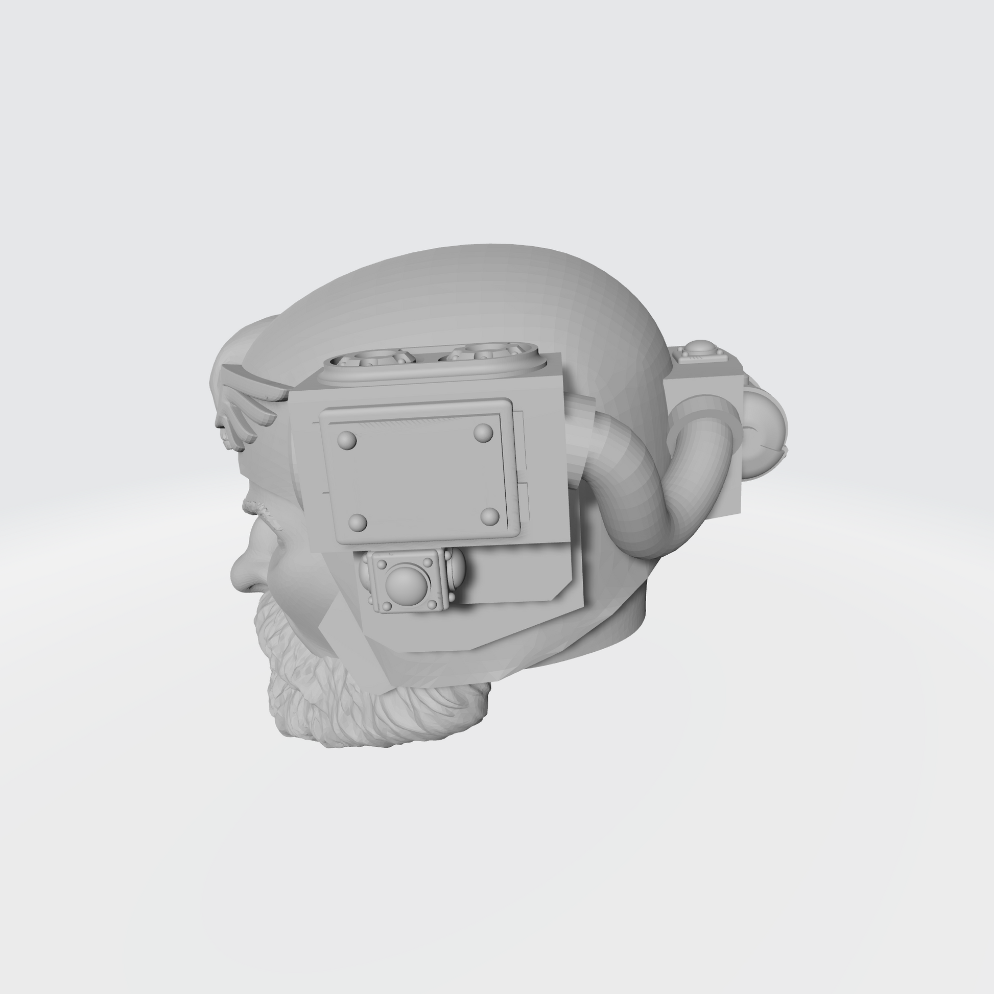 Custom Kasrkin Astra Militarum Head Sculpt Ver: 1 for McFarlane Toys 7in Figure Action Figures