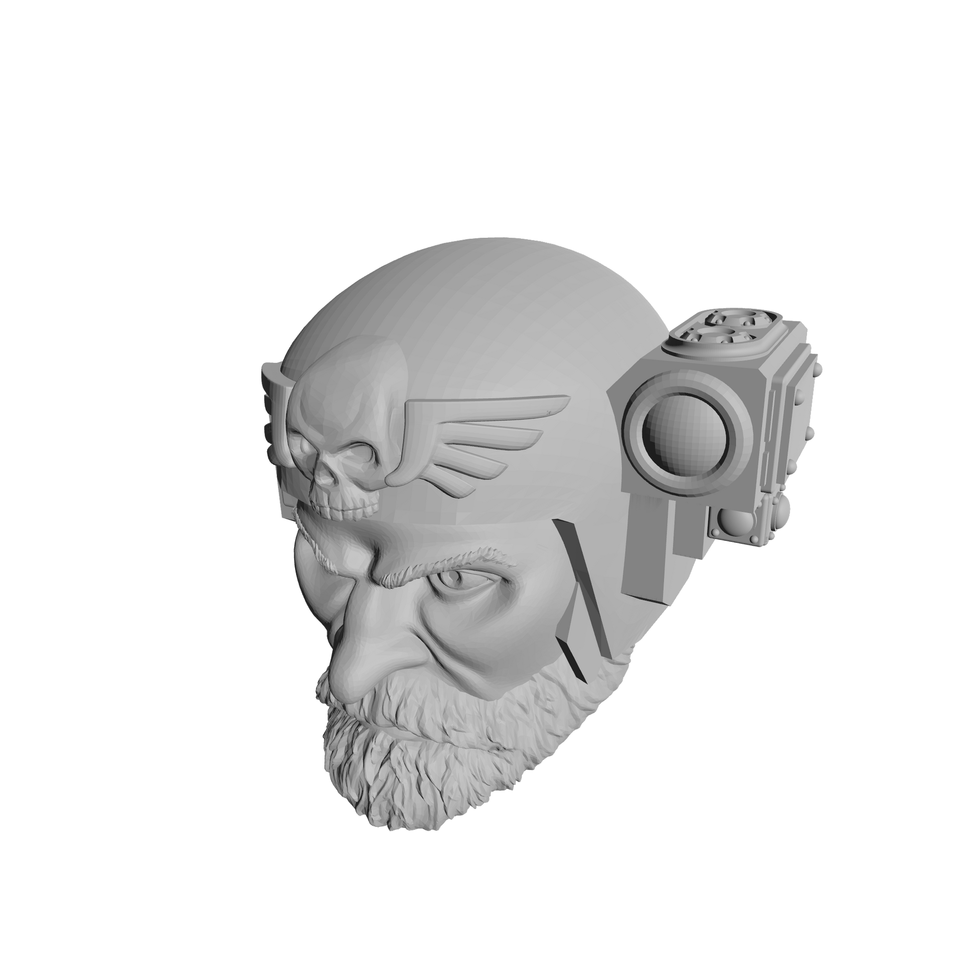 Custom Kasrkin Astra Militarum Head Sculpt Ver: 1 for McFarlane Toys 7in Figure Action Figures
