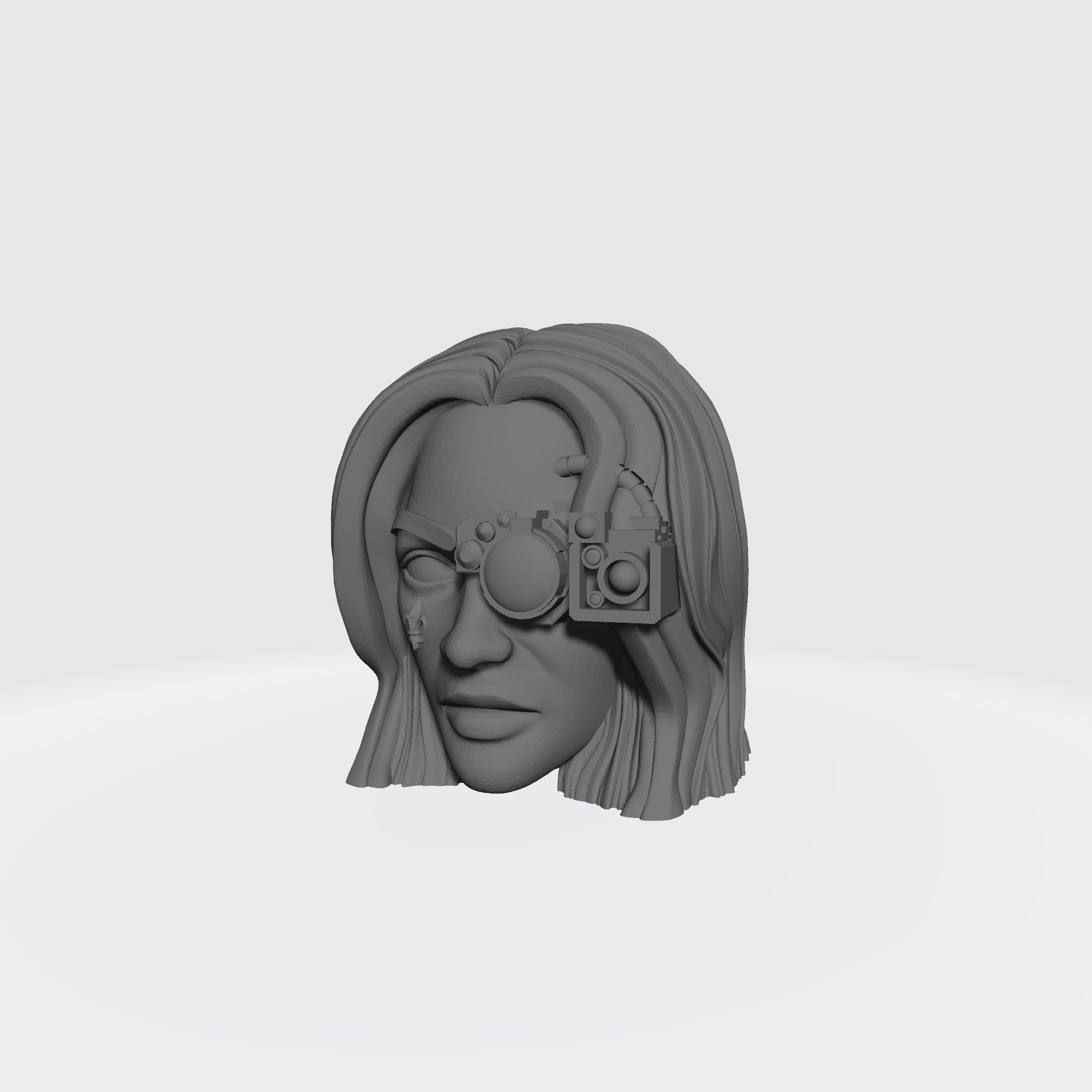 Sisters of Battle Canoness Veridyan Fleur-de-lis on Right Cheek and Cybernetics Head Sculpt for McFarlane Toys Battle Sister Action Figures