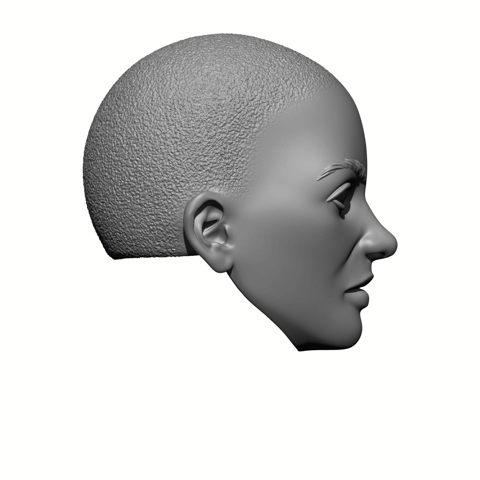 Sisters of War Bald Head with Stubble Compatible with McFarlane Toys McFarlane Toys Warhammer 40,000 Adepta Sororitas Battle Sister 7" Action Figure Right Side