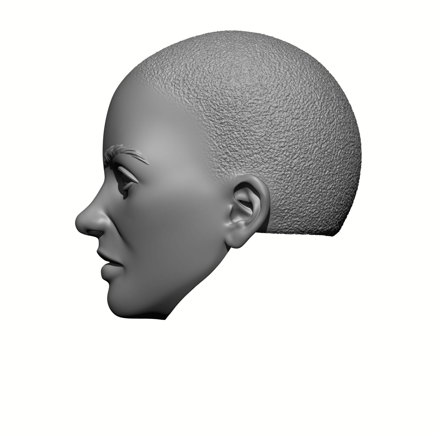 3D Render Sisters of War Bald Head with Stubble Compatible with McFarlane Toys McFarlane Toys Warhammer 40,000 Adepta Sororitas Battle Sister 7" Action Figure Left Side