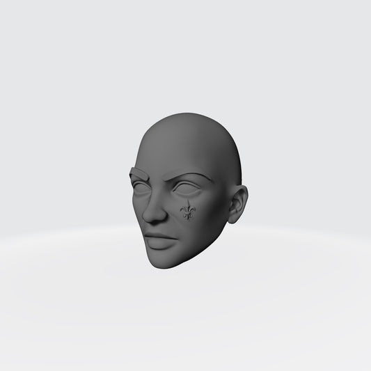 3D Render of the Sisters of War Bald Head with Fleur-de-lis on Left Cheek Compatible with McFarlane Toys McFarlane Toys Warhammer 40,000 Adepta Sororitas Battle Sister 7" Action Figure