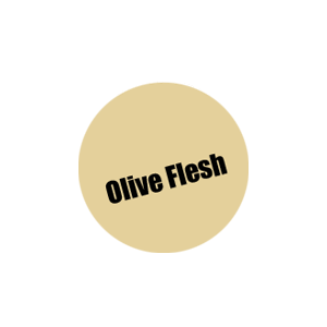 041-Pro Acryl Olive Flesh Paint