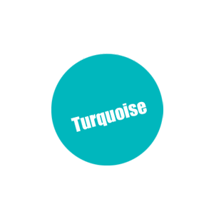 054-Pro Acryl Turquoise Paint