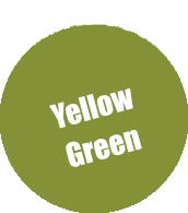 065 - Pro Acryl Yellow Green