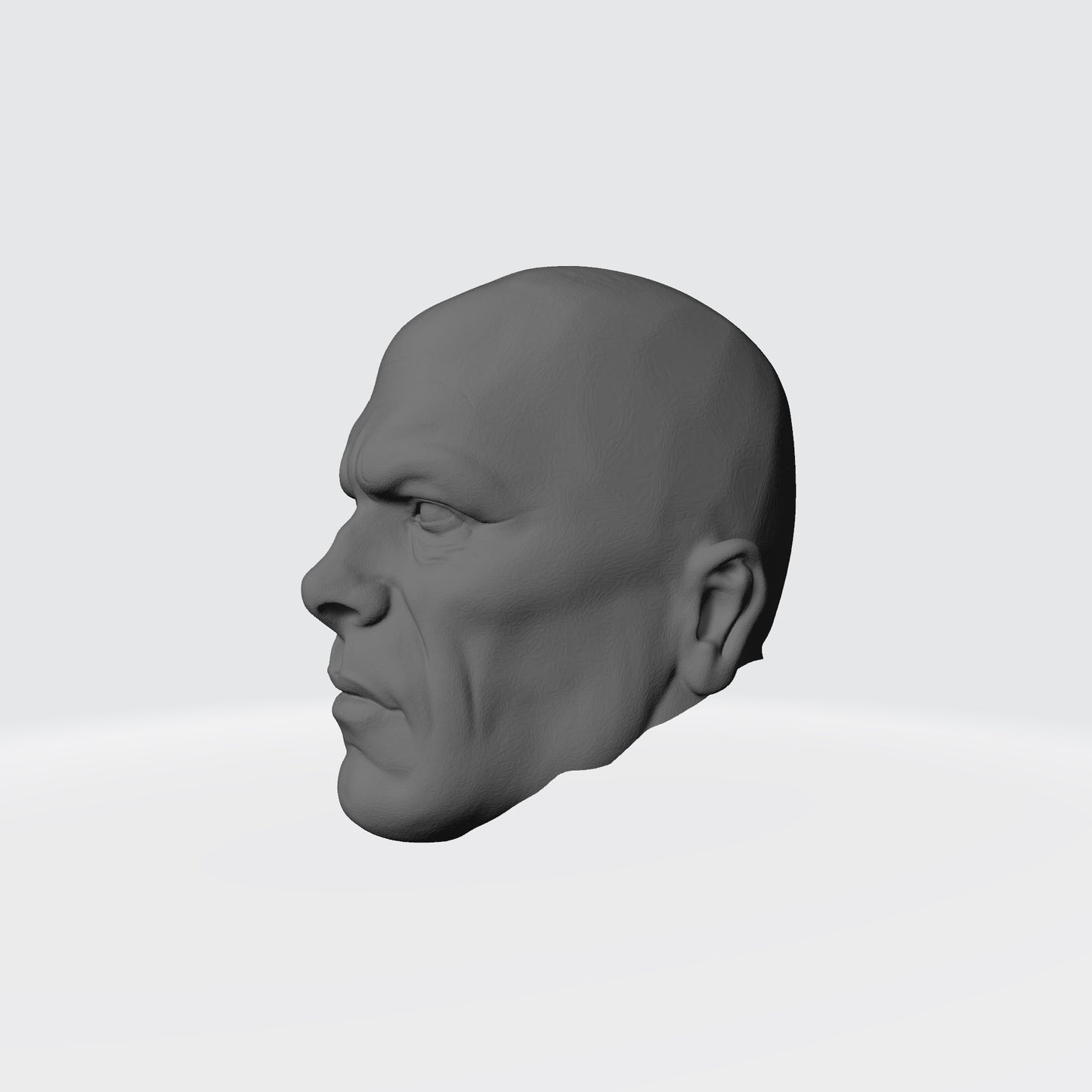 Omega Sentinels Castor the Resolute head sculpt resin accessory for McFarlane Toys 7-inch armored action figures by Fantasy World Games.