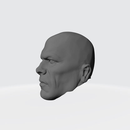 Omega Sentinels Castor the Resolute head sculpt resin accessory for McFarlane Toys 7-inch armored action figures by Fantasy World Games.
