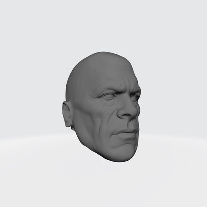 Omega Sentinels Castor the Resolute head sculpt resin accessory for McFarlane Toys 7-inch armored action figures by Fantasy World Games.
