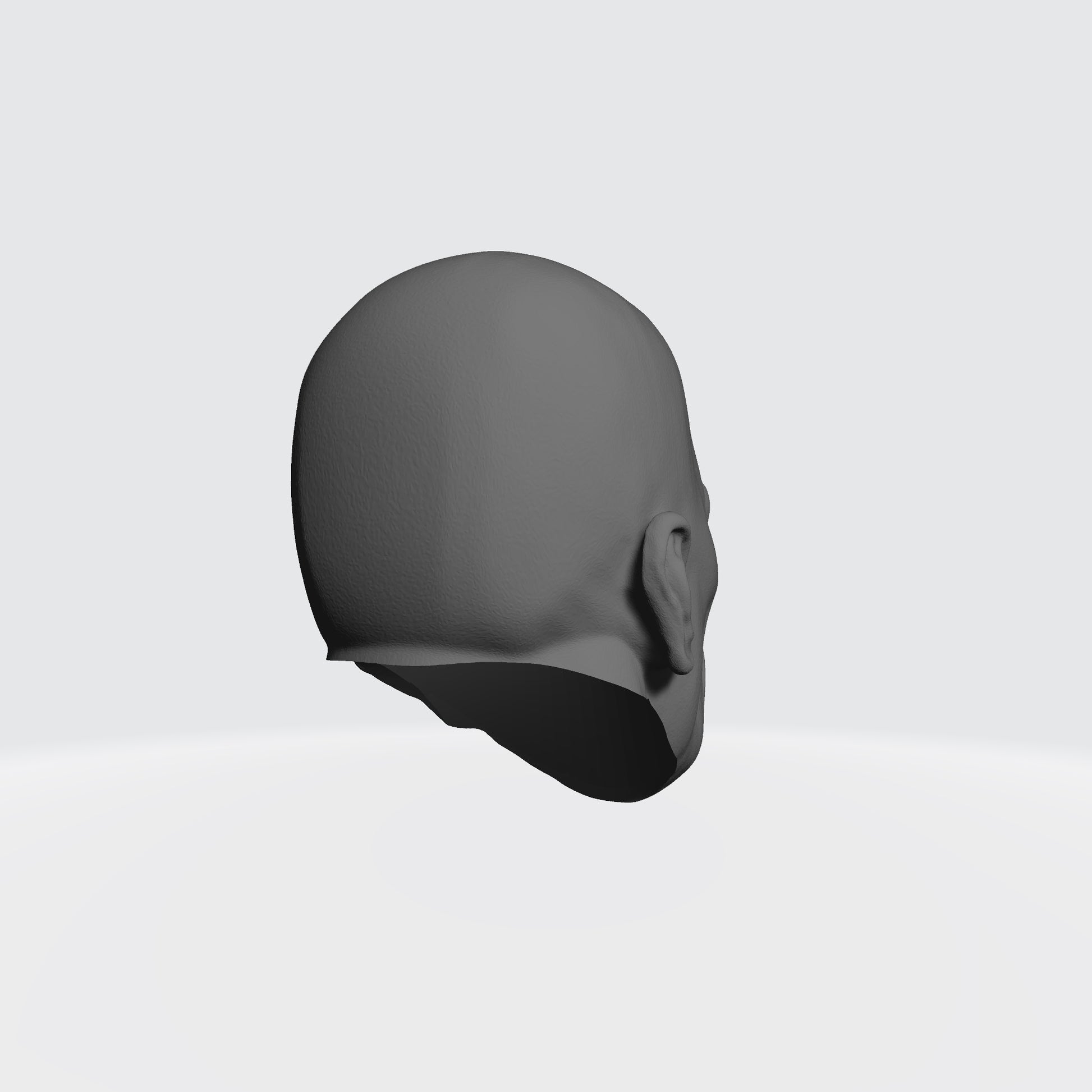 Omega Sentinels Castor the Resolute head sculpt resin accessory for McFarlane Toys 7-inch armored action figures by Fantasy World Games.
