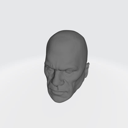 Omega Sentinels Castor the Resolute head sculpt resin accessory for McFarlane Toys 7-inch armored action figures by Fantasy World Games.