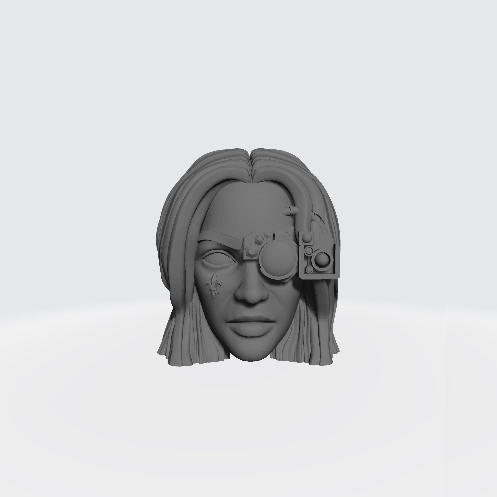 Sisters of Battle Canoness Veridyan Fleur-de-lis on Right Cheek and Cybernetics Head Sculpt for McFarlane Toys Battle Sister Action Figures
