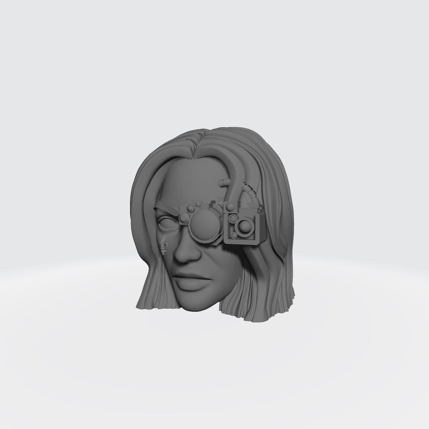Sisters of Battle Canoness Veridyan Fleur-de-lis on Right Cheek and Cybernetics Head Sculpt for McFarlane Toys Battle Sister Action Figures