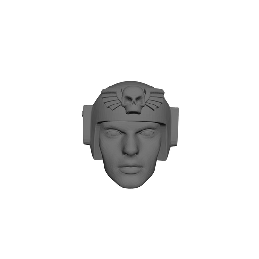 Mobile Infantry Guard Helmet with Skull Wings custom resin head sculpt compatible with G.I. Joe Classified 6 inch 1:12 scale action figures.