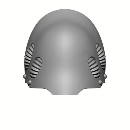 Cosmic Crusader Warrior Order Shoulder Pad with Hoses compatible with McFarlane Toys 7-inch armored action figures custom resin pauldron