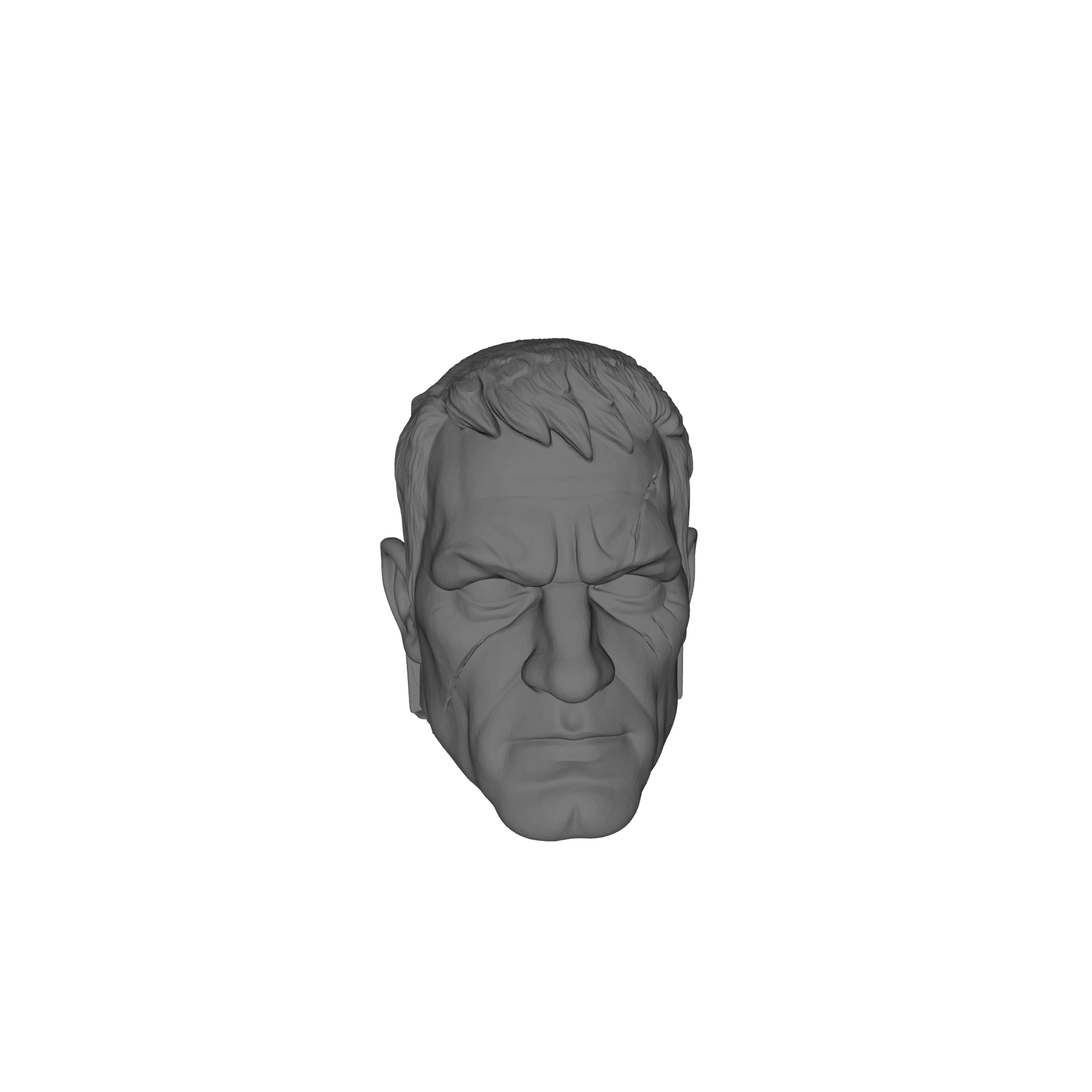Moon Wolves Warrior Captain Head Type G V. LOK-A custom resin head compatible with McFarlane Toys 7-inch armored action figures