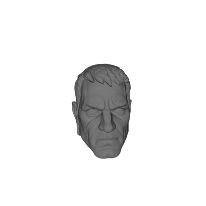 Moon Wolves Warrior Captain Head Type G V. LOK-A custom resin head compatible with McFarlane Toys 7-inch armored action figures