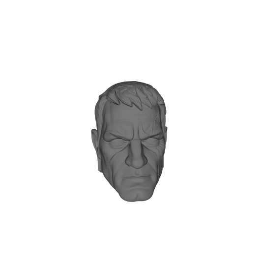 Moon Wolves Warrior Captain Head Type G V. LOK-A custom resin head compatible with McFarlane Toys 7-inch armored action figures