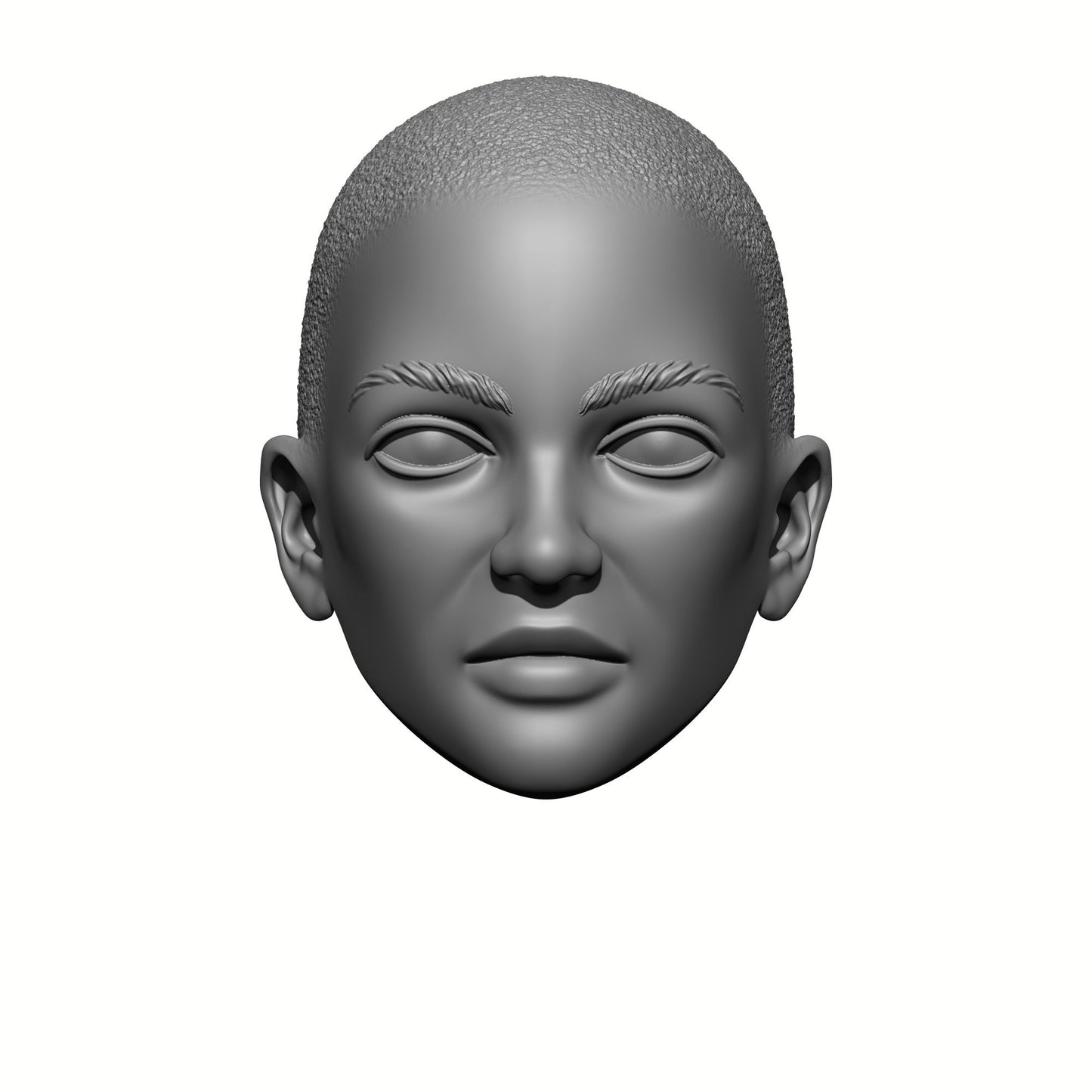 Sisters of Valor Warrior Order bald head with stubble custom resin head swap compatible with McFarlane Toys 7-inch armored action figures