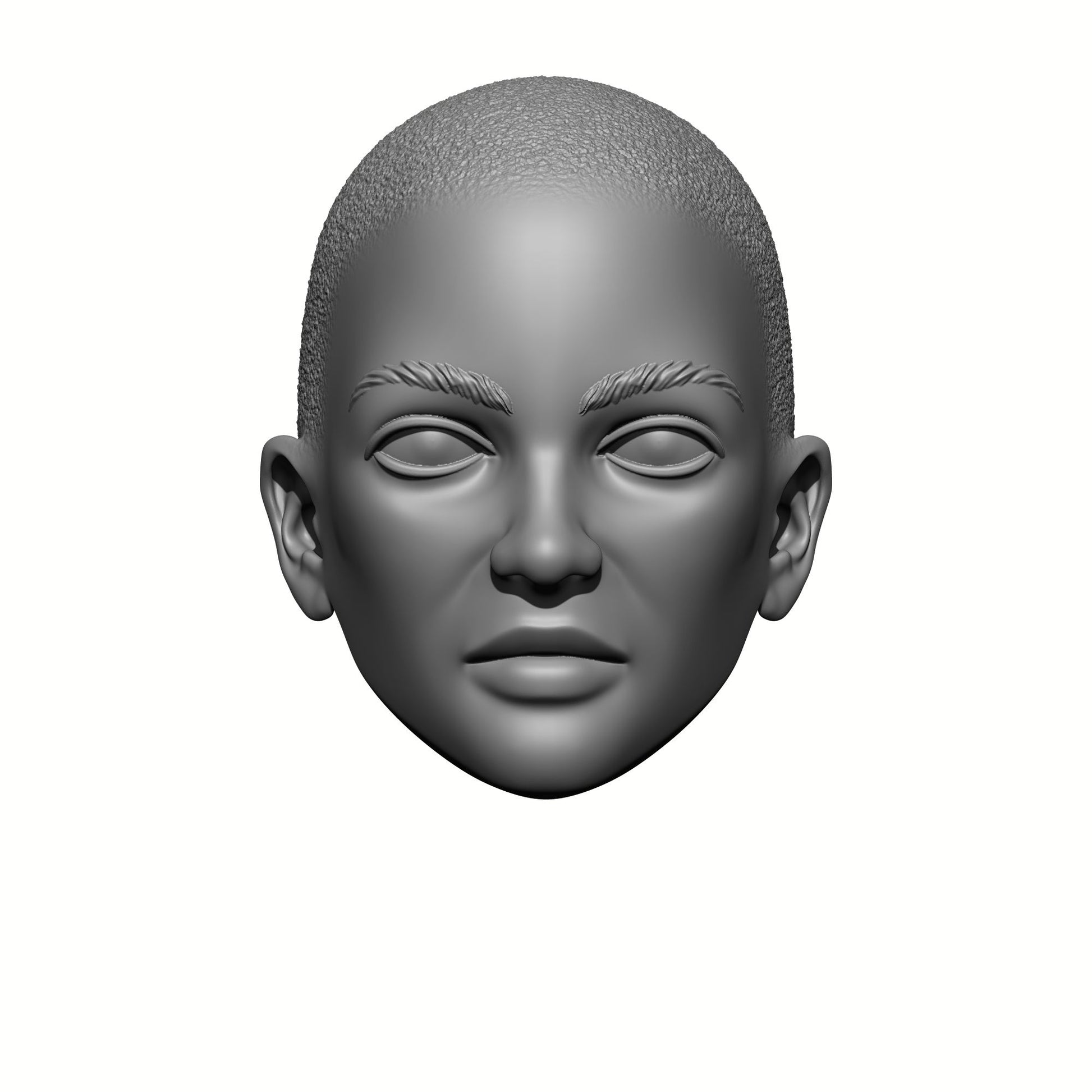 Sisters of Valor Warrior Order bald head with stubble custom resin head swap compatible with McFarlane Toys 7-inch armored action figures