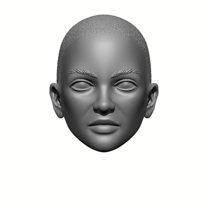 Sisters of Valor Warrior Order bald head with stubble custom resin head swap compatible with McFarlane Toys 7-inch armored action figures