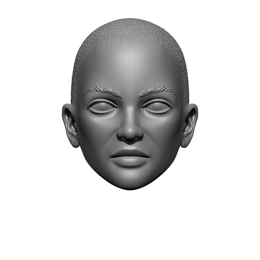Sisters of Valor Warrior Order bald head with stubble custom resin head swap compatible with McFarlane Toys 7-inch armored action figures