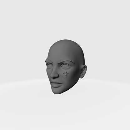 Sisters of Valor Warrior Order bald head with fleur-de-lis on left cheek compatible with McFarlane Toys 7-inch armored action figures