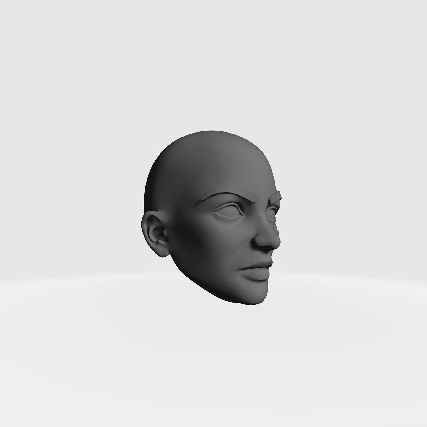 Sisters of Valor Warrior Order bald head with fleur-de-lis on left cheek compatible with McFarlane Toys 7-inch armored action figures