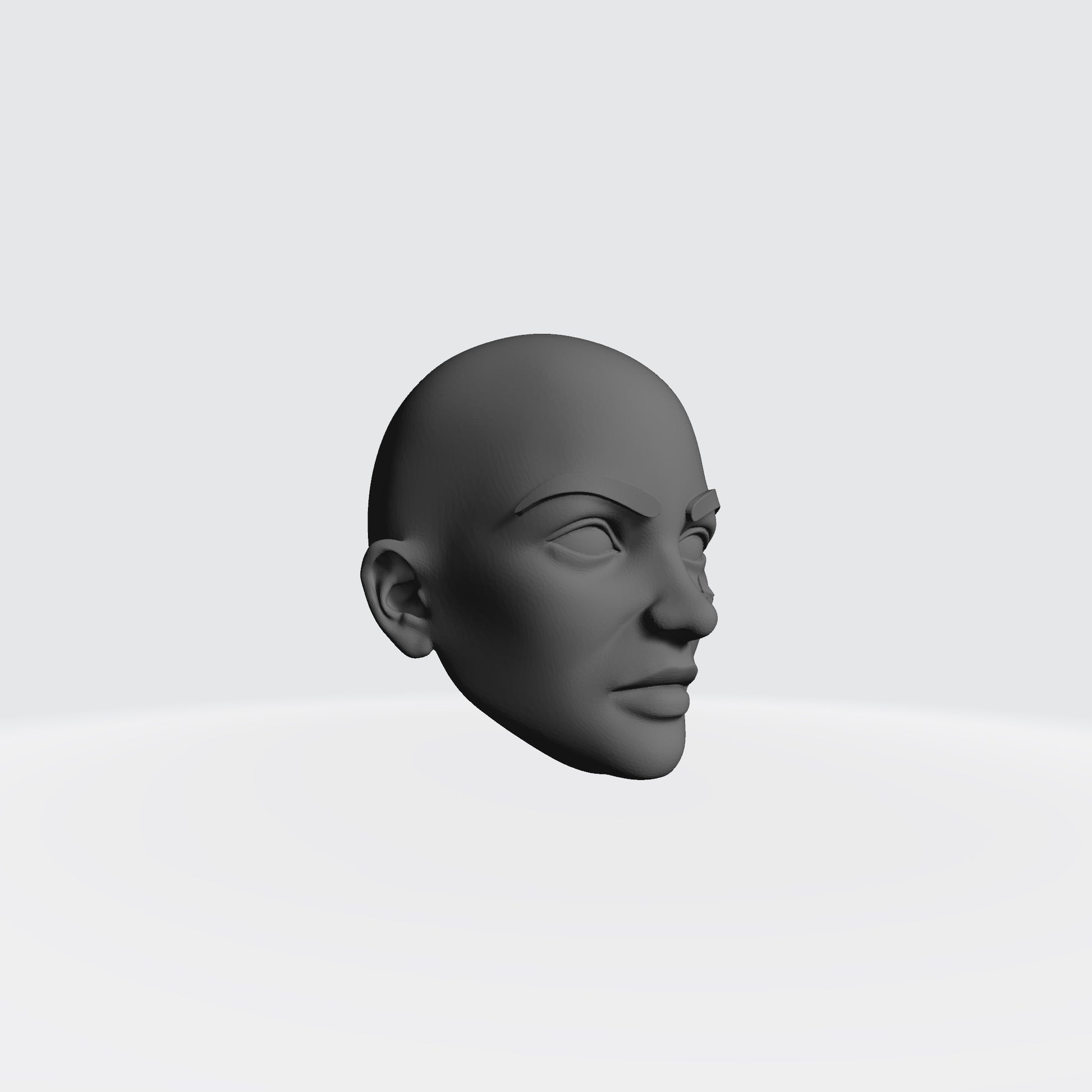 Sisters of Valor Warrior Order bald head with fleur-de-lis on left cheek compatible with McFarlane Toys 7-inch armored action figures