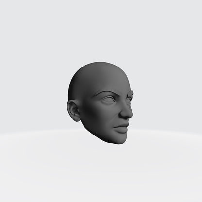 Sisters of Valor Warrior Order bald head with fleur-de-lis on left cheek compatible with McFarlane Toys 7-inch armored action figures