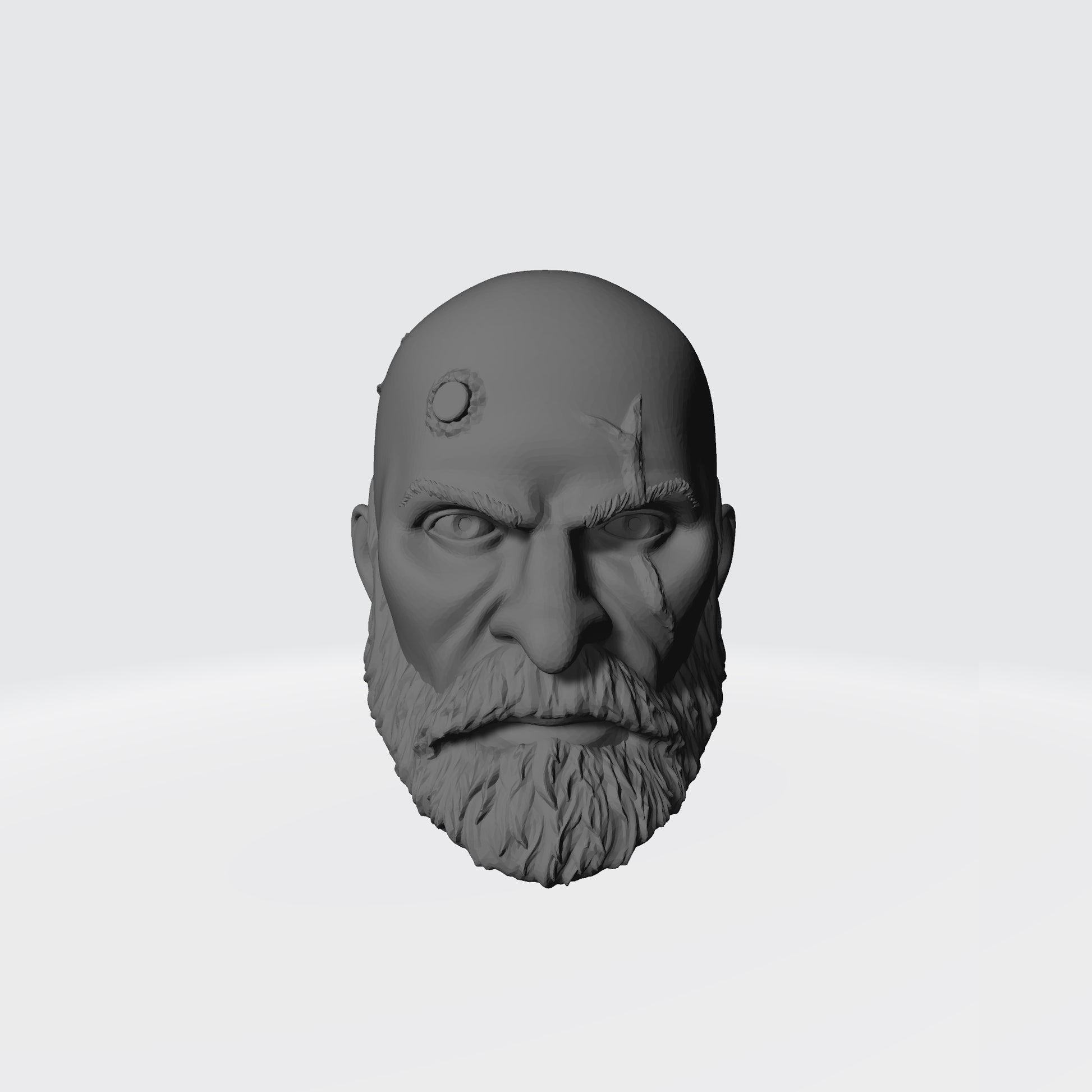 Wolf Guard Warrior Order Bare Head Bald with Scars and Service Studs on Right Side custom resin head sculpt compatible with McFarlane Toys 7-inch armored action figures.